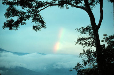 101 Affirmations You Can Start Using Today!